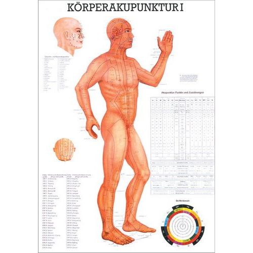 Lehrtafel Körperakupunktur I